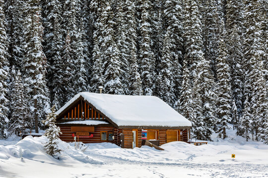 Snow covered log cabin against a background of snow covered evergreen trees and a snow covered foreground; Lake Louise, Alberta, Canada