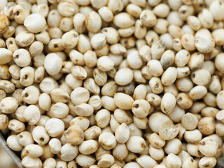 Close up of sorghum grains