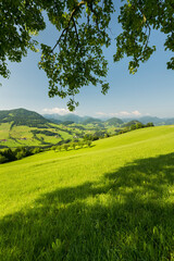 Fototapeta premium oberösterreichisches Alpenvorland nahe Maria Neustift, Oberösterreich, Österreich