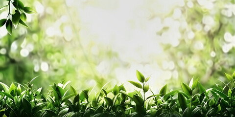 Lush green foliage against soft bokeh background