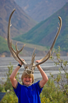 Boy tries on a pair of huge caribou antlers in Denali National Park and Preserve; Alaska, United States of America