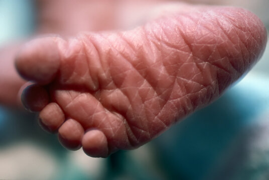Close view of the bottom of a newborn baby's foot; Mystic, Connecticut, United States of America