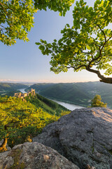 Burgruine Aggstein, Donau, Wachau, Niederösterreich, Österreich