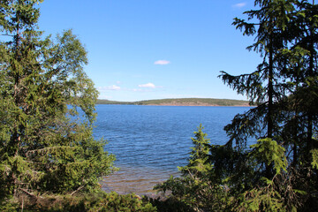 Fototapeta na wymiar Forest lake in Sweden. Far from the people.