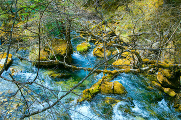 Jiuzhaigou Valley, Aba Qiang and Tibetan Autonomous Prefecture, Sichuan Province - Streams and waterfalls in the forest