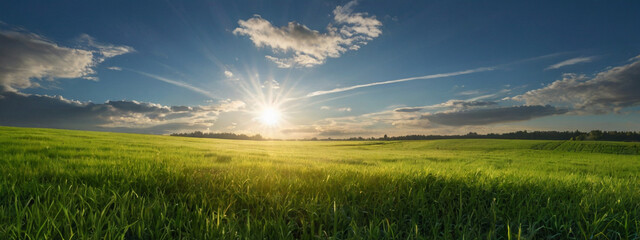 Green field blue sky and sunlight