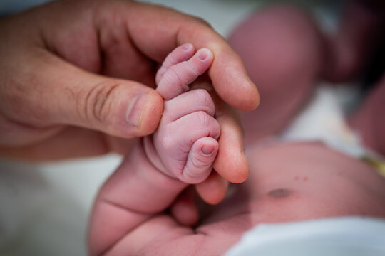 M&atilde;o do pai segurando a m&atilde;o do beb&ecirc; nen&eacute;m rec&eacute;m-nascido