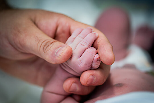 M&atilde;o do pai segurando a m&atilde;o do beb&ecirc; nen&eacute;m rec&eacute;m-nascido