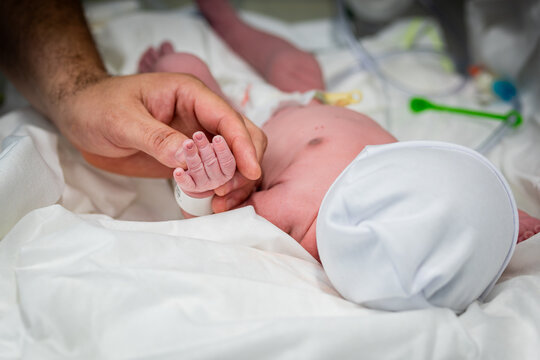 M&atilde;o do pai segurando a m&atilde;o do beb&ecirc; nen&eacute;m rec&eacute;m-nascido