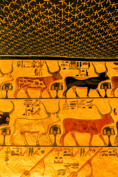 Tomb of Nefertari, Valley of the Queens in Luxor depicting the seven celestial cows, bull and four oars; Luxor, Egypt