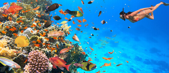 Underwater Tropical Corals Reef with colorful sea fish and Freediver. Marine life sea world. Tropical colourful underwater seascape.
