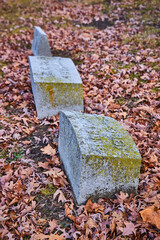 Autumn Gravestones with Lichen in Cemetery - Ground View