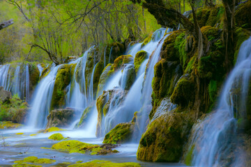 Jiuzhaigou Valley, Aba Qiang and Tibetan Autonomous Prefecture, Sichuan Province - Streams and waterfalls in the forest