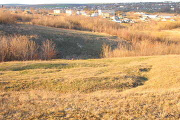 A field with a sign in the middle