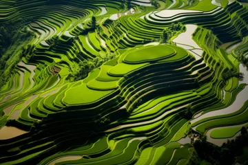 Tuinposter Aerial shot capturing the stunning geometry of a terraced paddy field landscape © KerXing
