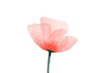 Orange Poppy Floral watercolor, PNG - 763407589
