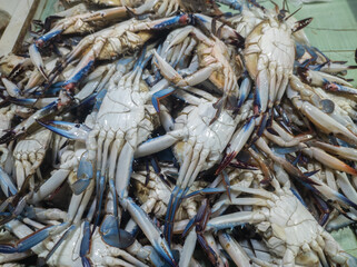 Piles of fresh blue crabs or rajungan are sold at traditional markets