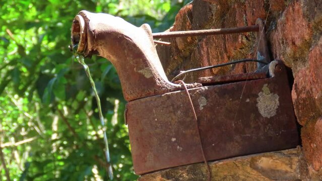 Bees drink water from the mouth of an old iron turned into a garden decoration