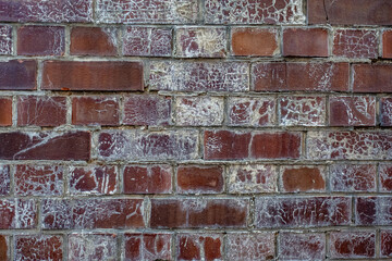 Feuchte und verschimmelte Klinker Wand