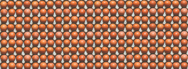 Many whole brown chicken eggs in recycled paper tray, abstract background