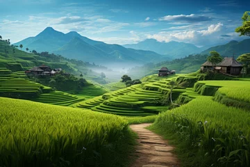 Foto op Canvas Tranquil paddy field scene with a winding path through the crops © KerXing