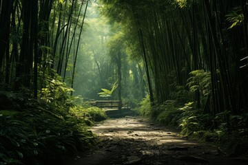 A road through a lush bamboo grove, creating a calming atmosphere