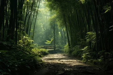 Gordijnen A road through a lush bamboo grove, creating a calming atmosphere © KerXing