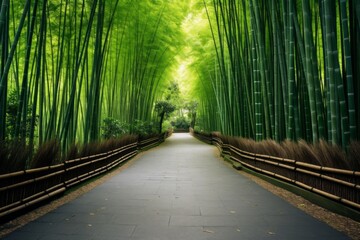 Naklejka premium A road through a serene bamboo grove, ideal for Zen-themed concepts