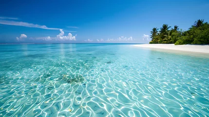 Foto op Canvas Beautiful beach at Maldives with few palm trees and blue lagoon © Liliya