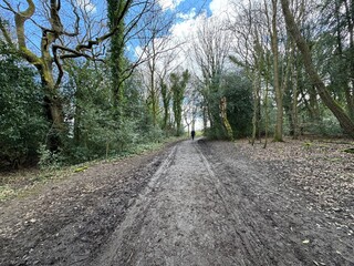 A muddy trail leads through a wooded area with bare trees on either side, under a partly cloudy...
