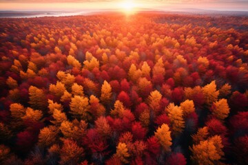 A breathtaking aerial view of a forest ablaze with vibrant hues of red, orange, and gold, capturing...