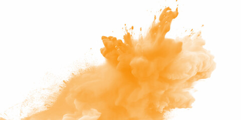 Orange color powder splash on a white background. Orange powder explosion on white background. Rainbow Holi paint color powder explosion with bright colors. 