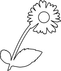 Chamomile flower doodle drawing for decoration.