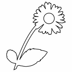 Chamomile flower doodle drawing for decoration.