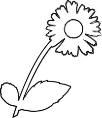 Chamomile flower doodle drawing for decoration.