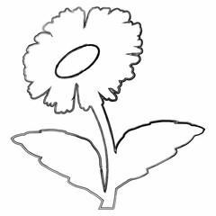 Chamomile flower doodle drawing for decoration.