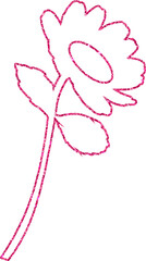 Chamomile flower drawing pink for decoration.