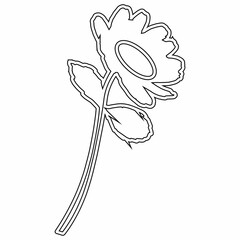 Chamomile flower doodle drawing for decoration.