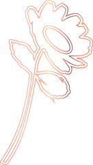 Chamomile flower drawing pink for decoration.