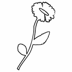 Chamomile flower doodle drawing for decoration.