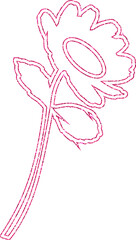 Chamomile flower drawing pink for decoration.
