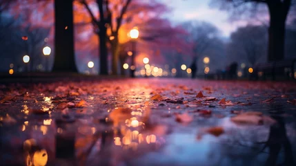 Foto op Plexiglas Wet autumn leaves on the ground with city lights reflection. Seasonal urban concept. © ArtStockVault