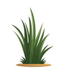 Image of a jungle tree. An illustration of evergreen jungle vegetation that combines colorful elements in an exciting design. Vector illustration.