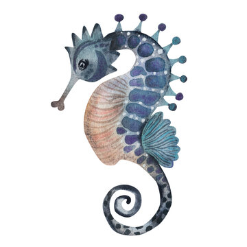 Seahorse, watercolor illustration. Isolated on white background