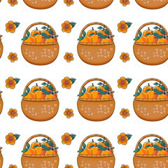 Apricots in a basket pattern, bright juicy apricot, apricot blossoms, vector illustration
