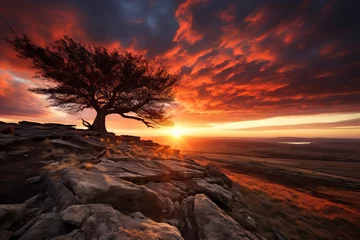 Zelfklevend Fotobehang Stunning sunset casting warm hues across an expansive natural landscape © KerXing