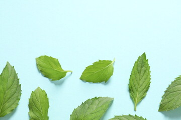 Mint leaves on a blue background