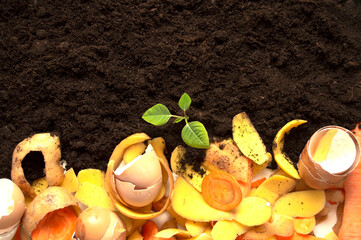 compost cycle is like composting a pile of rotting kitchen waste with vegetable waste turning into...