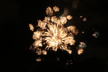 fireworks in the night