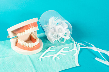 Dental floss and model of a tooth, dental floss toothpick on teal background.